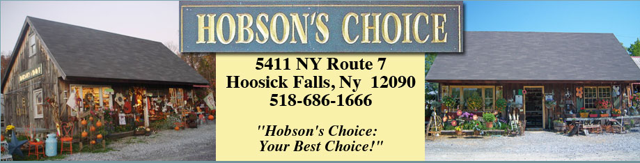 Hobsons Choice Greenhouse - Perennials - Annuals - Unique Gifts