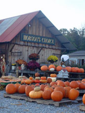 Building with pumpkin display
